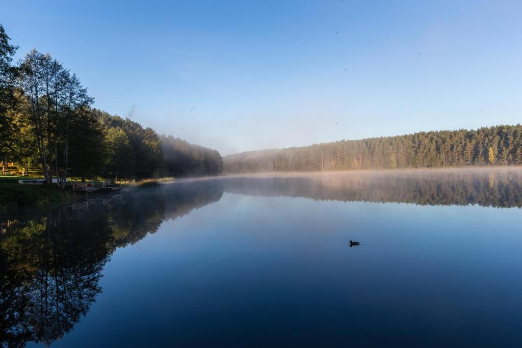 Zuvedra Hotel Ignalina Bagian luar foto